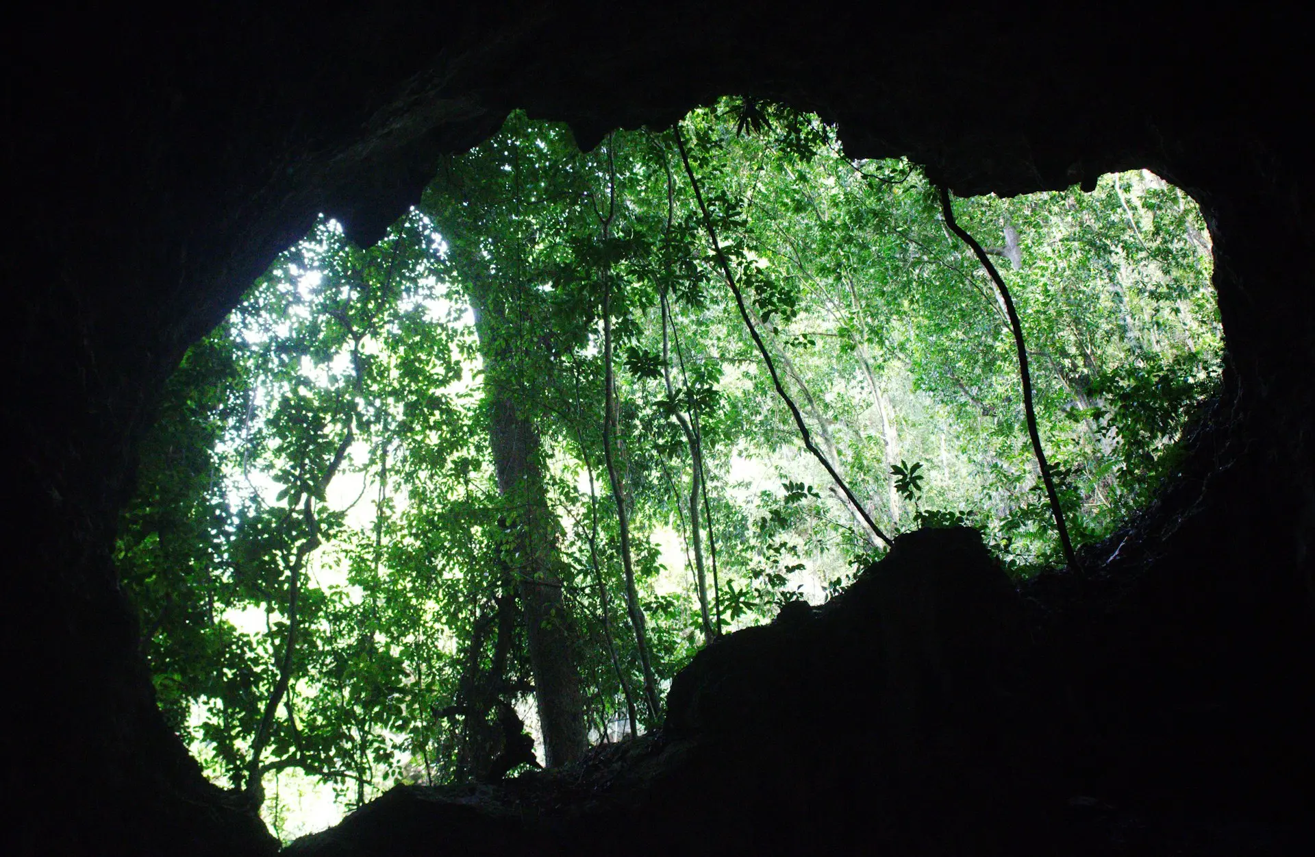 a cave entrance with trees in the background
